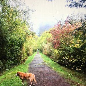 Meet your Posher, Lynda